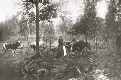 Swedish Farm Lady
