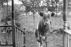 May I Come In?