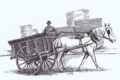 F. Lamb Coll. Horse and Carriage