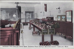 Cadillac State Bank