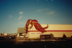 Glen's Country Market