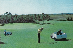 McGuire's Resort