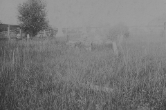 Banker Cemetery