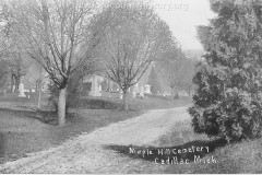 Old Maple Hill Cemetery View