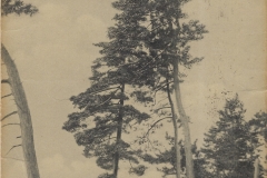 Baptist Assembly Ground On Lake Mitchell