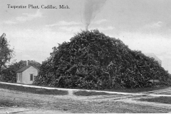 Turpentine Company