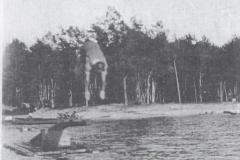 Diving In The Lake
