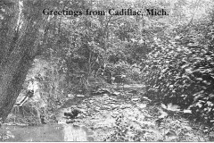 Cadillac Area Stream