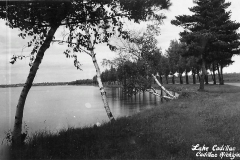 Lake Cadillac Roadway