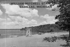 Lake Mitchell Beach