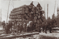 1_Cadillac-Lumber-Load-Of-Logs-Cadillac-Michigan