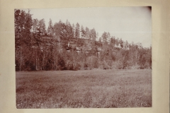 Cadillac-Lumber-Hill-of-Logs-In-The-Wexford-County-Countryside-1