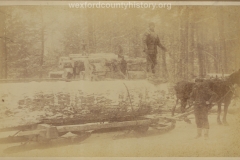 Cadillac-Lumber-Horse-Team-Pulling-Load-Of-Logs-On-Sled-10