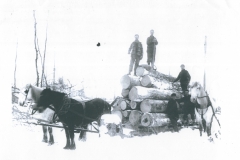 Cadillac-Lumber-Horse-Team-Pulling-Load-Of-Logs-On-Sled-11