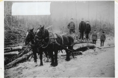 Cadillac-Lumber-Horse-Team-Pulling-Load-Of-Logs-On-Sled-3