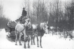Cadillac-Lumber-Horse-Team-Pulling-Load-Of-Logs-On-Sled-6