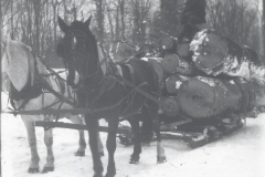Cadillac-Lumber-Horse-Team-Pulling-Load-Of-Logs-On-Sled-9