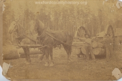 Cadillac-Lumber-Horse-Team-Pulling-Logs-2