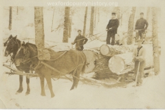 Cadillac-Lumber-Horse-Team-Pulling-Lumber