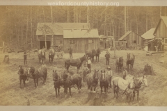 Cadillac-Lumber-Horse-Teams-In-Camp