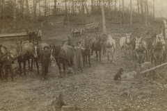 Cadillac-Lumber-Horse-Teams