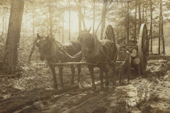 Cadillac-Lumber-Horses-Moving-Logs-On-Michigan-Wheels-Over-Very-Muddy-Northern-Michigan-Roads