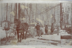 Cadillac-Lumber-Horses-Pulling-Logs