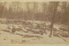 Cadillac-Lumber-Logs-In-The-Snow