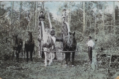 Cadillac-Lumber-Lumbering-Operations-Near-Cadillac-Michigan-2