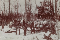 Cadillac-Lumber-Lumberjack-With-Two-Horse-Team-Pulling-Logs-By-Henderson-Camp