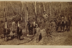 Cadillac-Lumber-Lumberjacks-With-Cant-Hooks-And-Horse-Teams