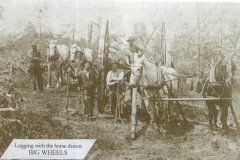 Cadillac-Lumber-Misc-Lumber-Scene-1-18