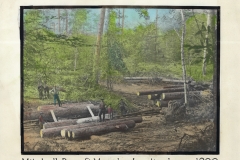 Cadillac-Lumber-Mitchell-Brothers-And-Murphy