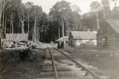 Wexford-County-Lumber-Murphy-Diggins-Lumber-Camp
