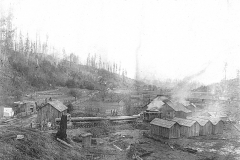 Wexford-County-Lumber-Timber-Harvest-Circa-1890s-17