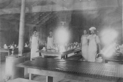 Wexford-County-Lumber-Timber-Harvest-Circa-1890s-18