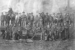 Wexford-County-Lumber-Timber-Harvest-Circa-1890s-21