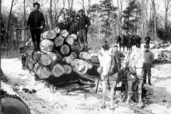 Loading Logs for Transport