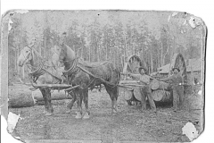 Horses and Big Wheels