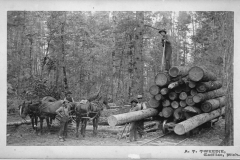 Rail Car Loaded with Lumber