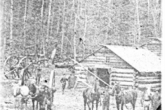 Typical Logging Camp