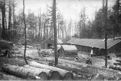 View of a Typical Logging Camp