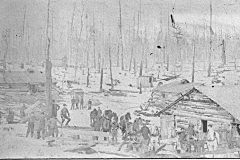 Logging Camp Scene