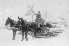 Team of Horses Removing Logs