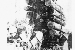 Large Load Pulled by Horses