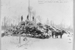 Logs Stacked to Load on Rail Cars