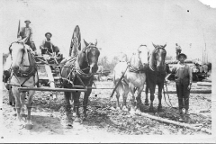 Removing Logs at A Sours Camp