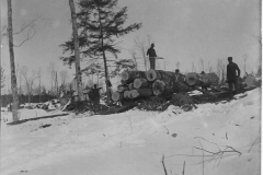 Stacking Logs