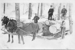 Large Logs Pulled by a Team