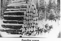 Timber Transport